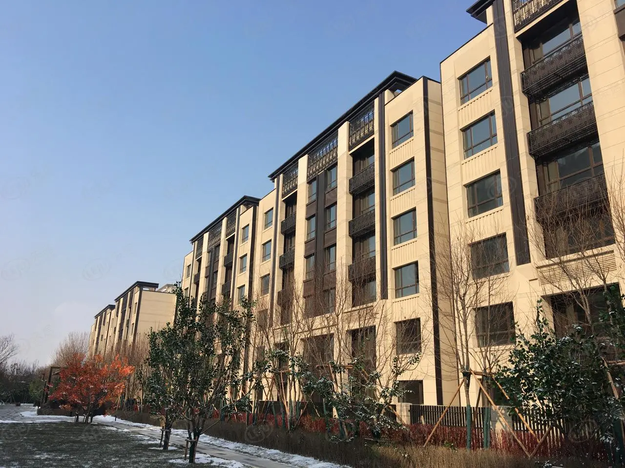 小区实景图-多层建筑